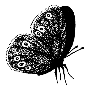 High Batts Ringlet butterfly logo