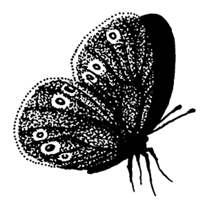 High Batts logo as a favicon