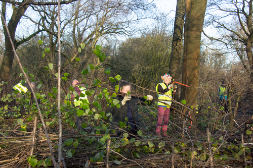 Muck-In Morning 19th December 2020
