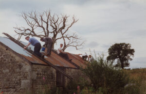 Cheerful work team on roof painting