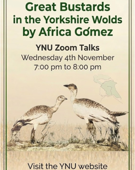 YNU Great Bustards Talk, and AGM YNU Great Bustards poster